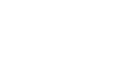 Next.js icon